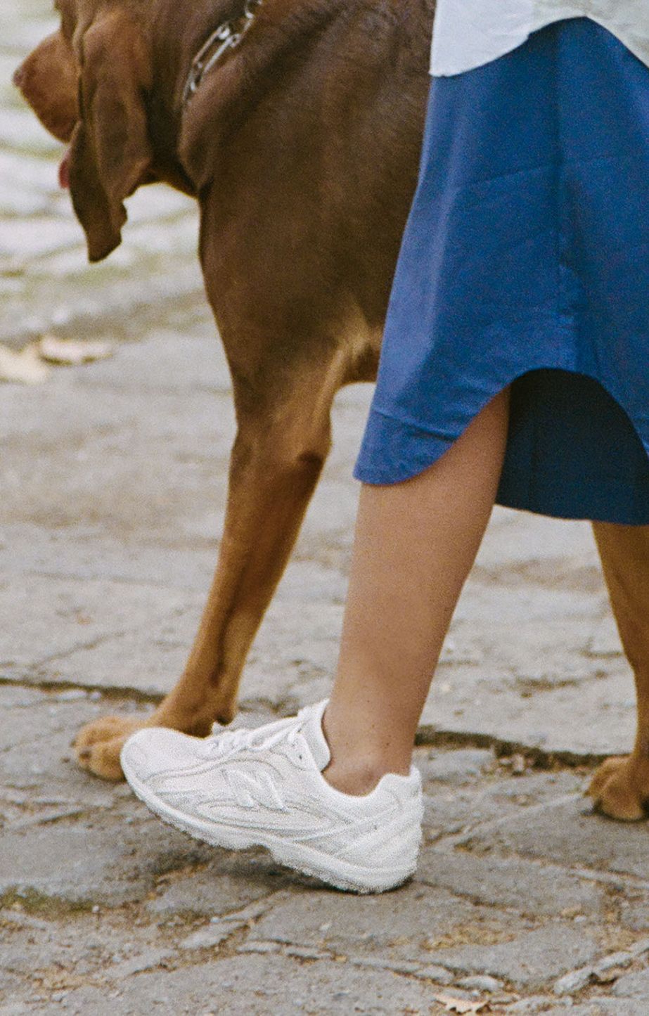 Close up of lifestyle Image of model walking dog 